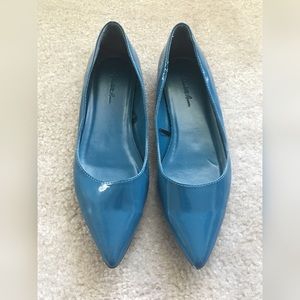 Blue pointed toe flats.